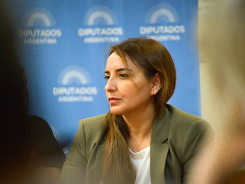 El subrgimen fueguino estar contemplado en el presupuesto, Andrea Freites 