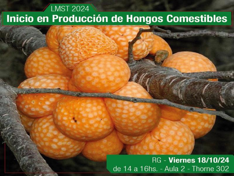 Inicio en produccin de hongos comestibles 