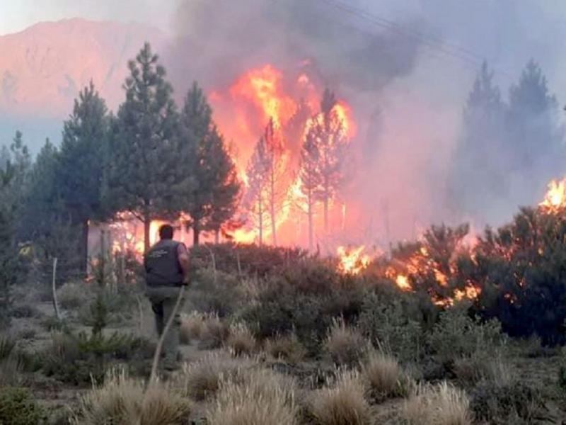 Ms de 400 personas y siete medios areos luchan contra los incendios