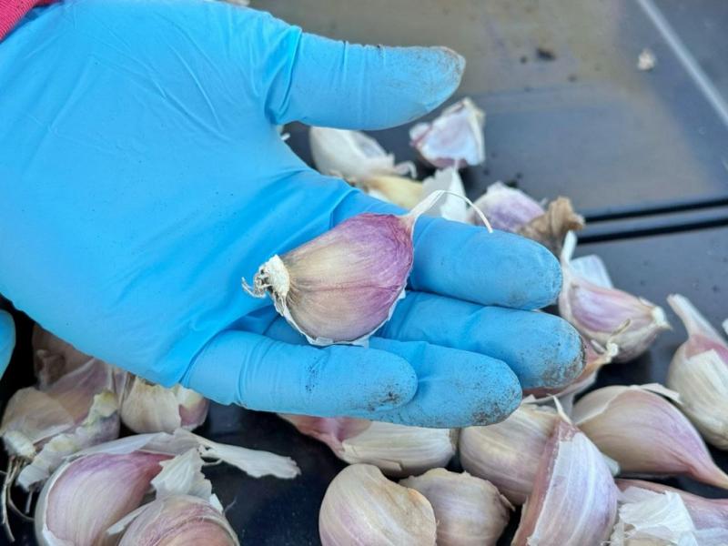 RGA Alimentos ampla su produccin 