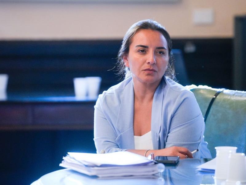 �Que el Presidente Milei celebre estos hechos es vergonzoso, irresponsable y peligroso�, Andrea Freites 