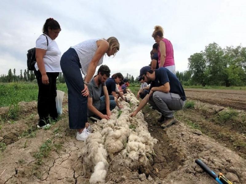 La UNCo impulsa la innovaci�n en el uso de la lana ovina