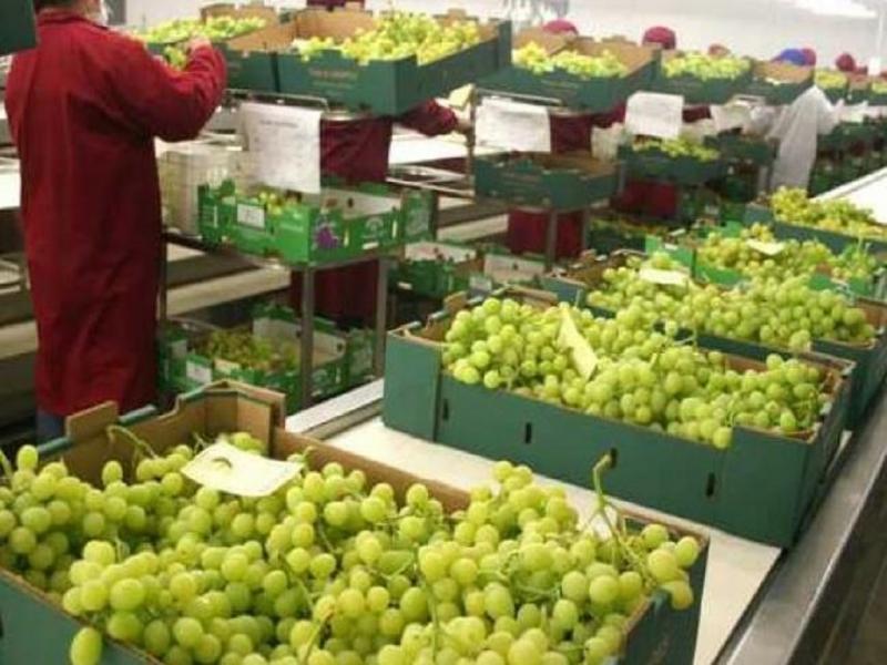 Las importaciones de frutas y verduras se disparan y golpean a la producci�n regional