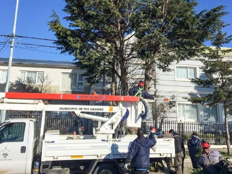 R�o Grande impulsa el programa Ciudad Verde con recomendaciones para forestar 