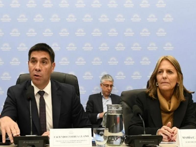 Los Libertarios obtuvieron dictamen de mayor�a en Diputados para eliminar la extensi�n de zona fr�a que afectar� a 3,7 millones de hogares