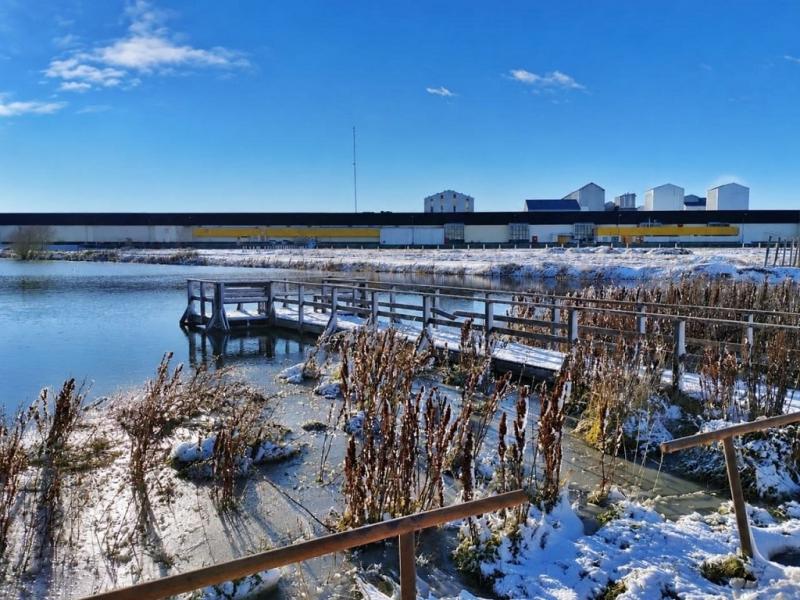 El Municipio habilit� las actividades sobre hielo en la Laguna de los Patos 