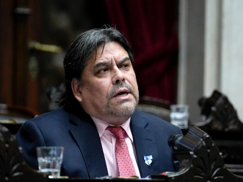 Araujo present� un proyecto para defender la relaci�n estrat�gica entre Argentina y Brasil 