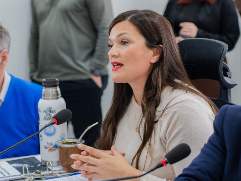 Zamora y L�ffler impulsaron un reclamo a Naci�n para evitar aumentos en las tarifas de gas
