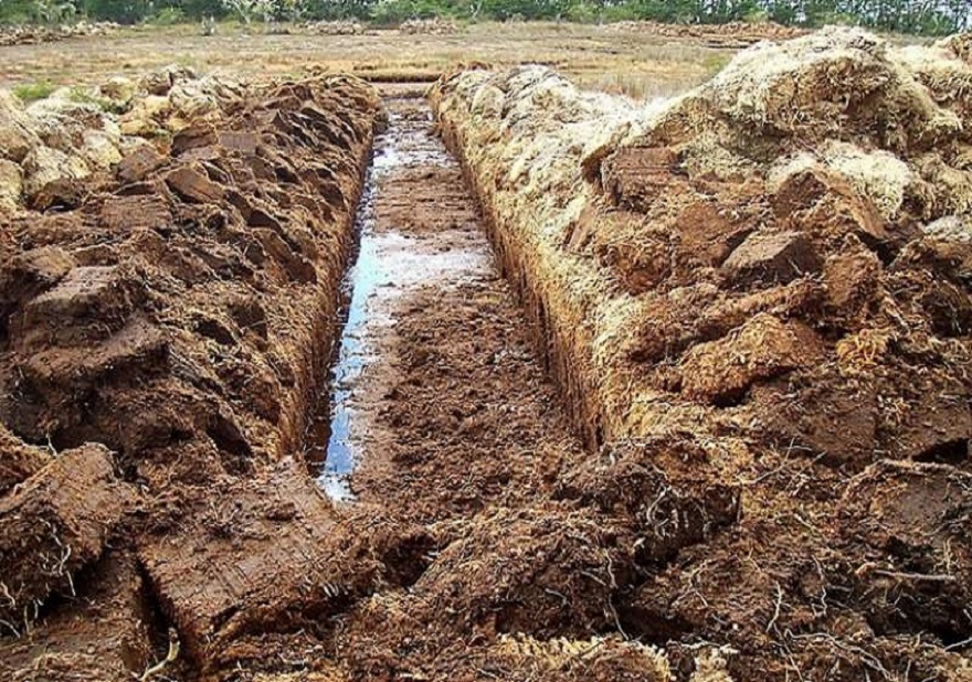 Estamos buscando abrirnos al mercado brasilero, emprolijar cuestiones sanitarias y otras barreras para facilitar el comercio, dijo Marcelo Lazzarinni, de la empresa Terrafertil SA. 