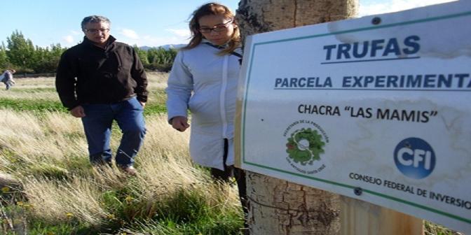 Truficultura, un proyecto importante para la localidad de Los Antiguos y toda la provincia de Santa Cruz 