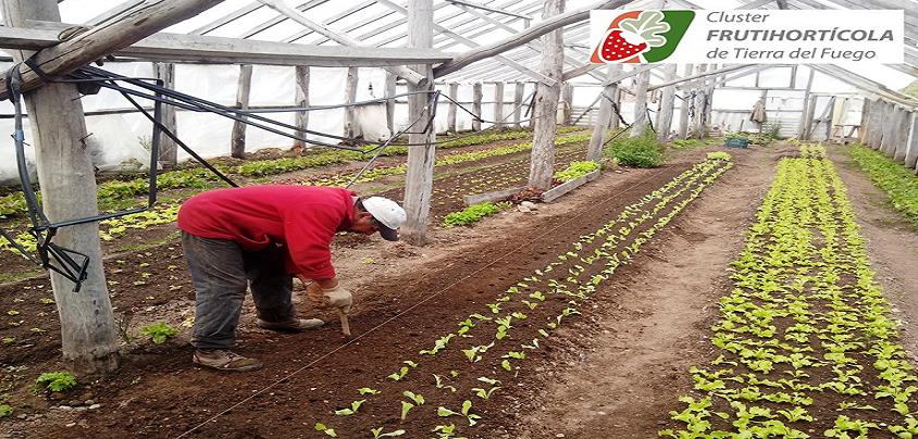 El Segundo Foro Pblico del Cluster Frutihortcola, se realizar en Tolhuin el viernes 27 de febrero