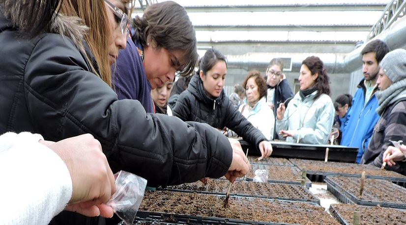 El Programa del Ministerio de Desarrollo Social de la Nacin y el INTA cumple su tercera dcada promoviendo la soberana alimentaria y el autoabastecimiento. 