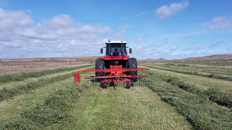 El Plan Forrajero es una iniciativa provincial que apuesta al desarrollo de la cadena de ganados y carnes de la provincia. Lleva intervenidas ms de 130 hectreas.