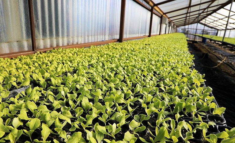 La feria de productores se llevar a cabo al aire libre y dando cumplimiento a los protocolos sanitarios vigentes y de pblico conocimiento.