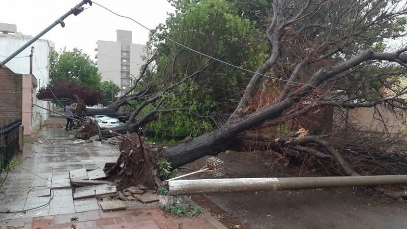 La tormenta tambin afect a otros puntos de la provincia. Santa Rosa no fue la nica localidad afectada. Tal es as que se reuni el Comit de Crisis de la provincia para colaborar y solucionar los problemas de las localidades ms afectadas.