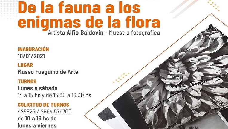 Se va a estar haciendo la apertura en Ro Grande del Museo Fueguino de Arte con la exposicin de la coleccin provincial de arte y con una muestra fotogrfica a cargo del reconocido fotgrafo y artista Alfio Baldovn, destac Luca Rossi.