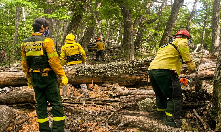 Los indicadores de disponibilidad de combustibles para arder en la zona centro y sur de Tierra del Fuego estn superado los valores mximos histricos, por lo que el sistema provincial se encuentra en alerta, asegur Carlos Pereslindo.