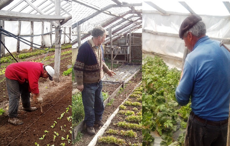 En la ciudad de Tolhuin se desarroll el III Foro del Clster Frutihortcola de Tierra del Fuego

