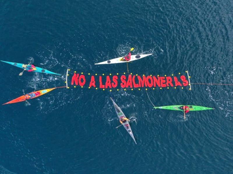 Mnica Urquiza y Pablo Villegas presentaron un proyecto de ley para prohibir la salmonicultura en la provincia. Si la ley se aprobara, Tierra del fuego se convertira en el primer lugar del mundo en prohibir la industria antes de que se instale.