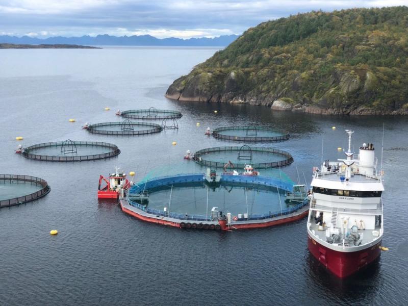 Logr avanzar el proyecto presentado por el Legislador Pablo Villegas, que busca la prohibicin de la Salmonicultura a escala industrial en Tierra del Fuego y que se encamina a ser una ley que tendr un impacto global.