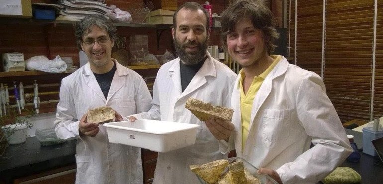 El proyecto de Maximiliano Rugolo y Francisco Kuhar fue seleccionado, entre 1.400 trabajos de todo el pas, para ser presentado en Innovar 2015.