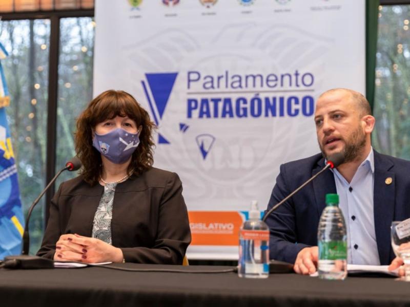 “El Cuerpo regional debe estar a la altura que requiere la realidad que afecta a Patagonia”, resaltó Emmanuel Trentino. 