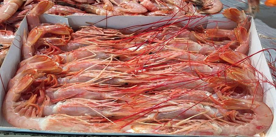 La escalada del langostino permiti este ao alcanzar una nueva marca record