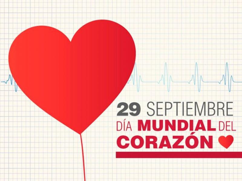 La eliminacin de conductas de riesgo para la salud hara posible evitar al menos un 80% de estas enfermedades, porque esas acciones abordan las diferentes dimensiones sociales, culturales, de los factores de riesgo, seal Ana Mara Grassani.   