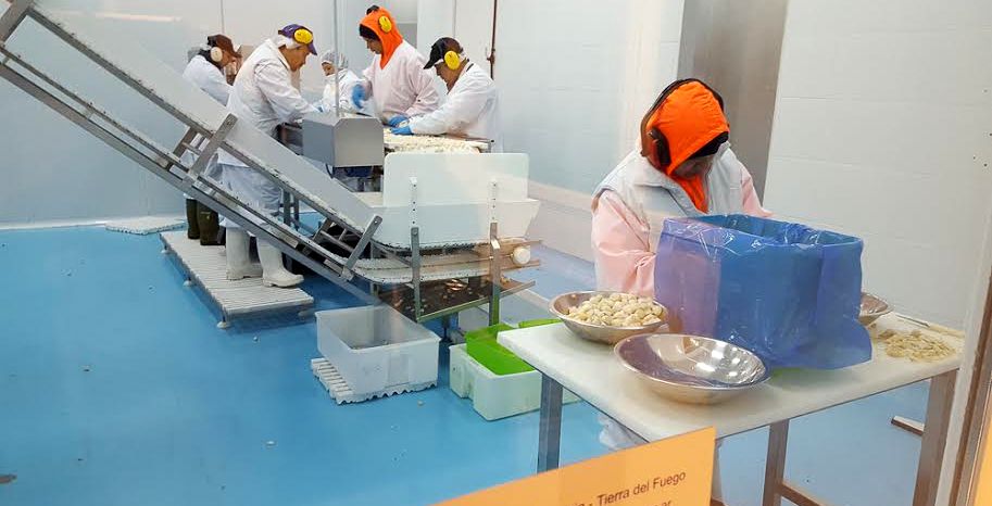 El Vicegobernador de Tierra del Fuego, Juan Carlos Arcando, visit las plantas de las empresas San Arawa S.A. y Glaciar Pesquera S.A. junto a funcionarios del Ministerio de Ciencia, Tecnologa e Innovacin Productiva de la Nacin.