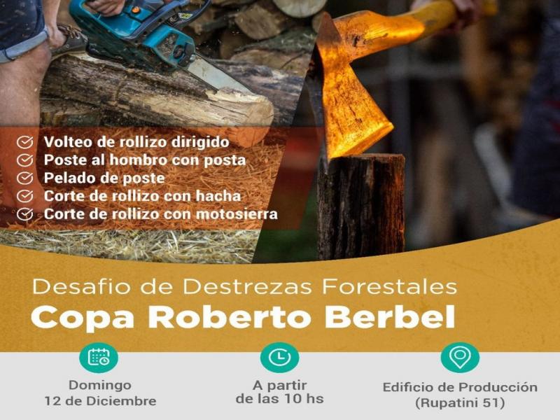 En el marco de la Fiesta Provincial de la Lenga, el domingo las actividades culturales continuarn acompaando los juegos de destrezas forestales a partir de las 10 horas en el predio del edificio de Produccin sobre calle Rupatini 51. 