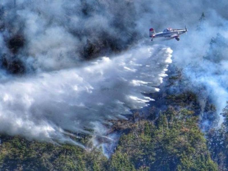 La zona afectada es un frente de unos 4.000 metros y el fuego sigue avanzando hacia el suroeste. En el lugar se trabaja de forma articulada entre la Provincia, Nacin, Municipio, comunidades mapuches y estancieros. 