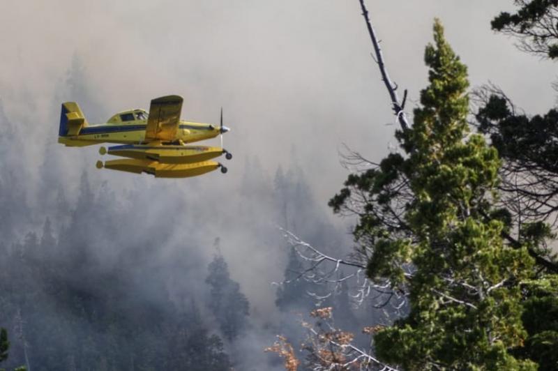 Se cre un Comit de Crisis compuesto por los Ministerios de Ambiente, Defensa, Interior y Seguridad, que se encuentra en alerta permanente para brindar el apoyo necesario para combatir los incendios forestales en la Patagonia.