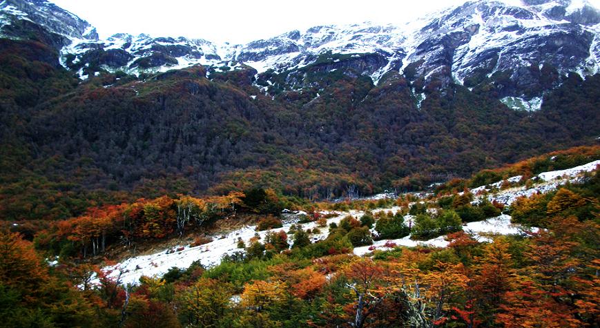 Acusan a las empresas ngel Masciotra S.A y Depsitos Fiscales Australes S.A. de deforestar casi 2 hectreas de bosques, adems del supuesto enterramiento de residuos industriales. 