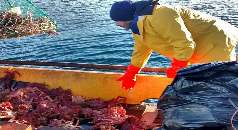 El objetivo del proyecto consiste en la evaluacin de la poblacin de centolla en el Canal Beagle a travs del relevamiento de 153 sitios de muestreo entre el lmite occidental con Chile y la Isla Gable. 