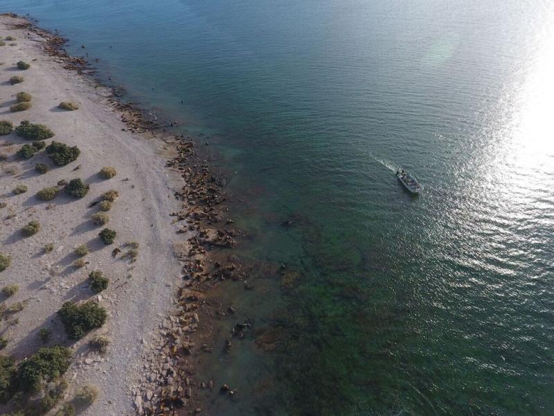 La bsqueda est concentrada en las zonas de Pico Salamanca y Baha Bustamante, al sur de Camarones; debido a que fue all donde se registr el ltimo contacto con la aeronave perdida.