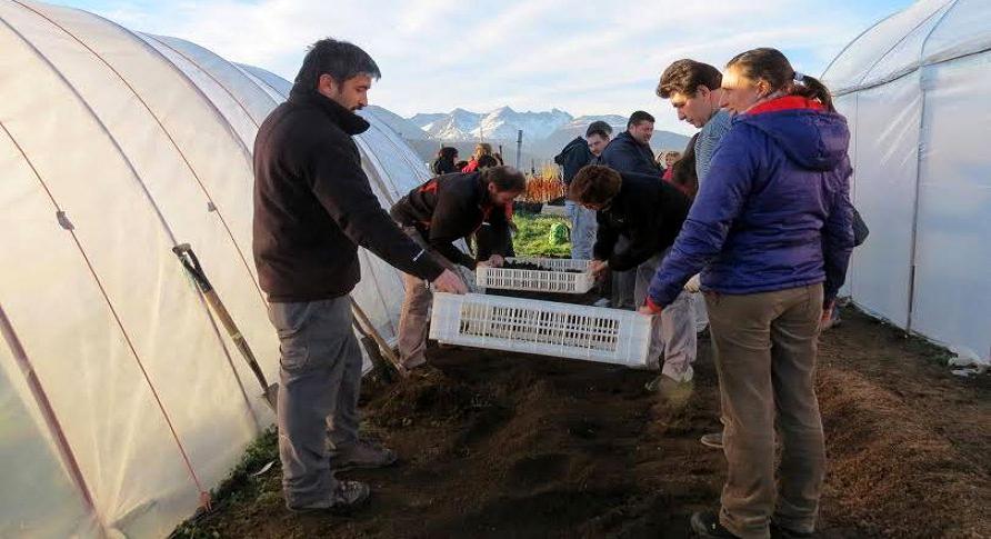 El viernes 9 de septiembre, en la ciudad de Ushuaia, se dar comienzo a la temporada de huertas fueguinas. Ro Grande y Tolhuin programaron sus inicios para el mircoles 14 y el viernes 16, respectivamente.