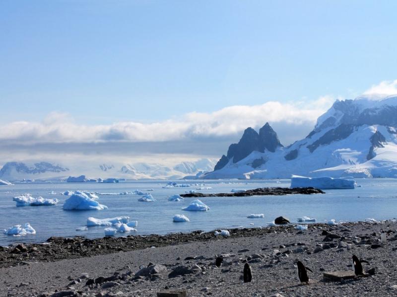 “Este Festival invita a vincularnos con la Antártida desde las experiencias de vida, al compartir lo que nos apasiona, lo que genera preguntas”, señaló el Director Provincial de Proyectos Antárticos, Cristian Lorenzo. 