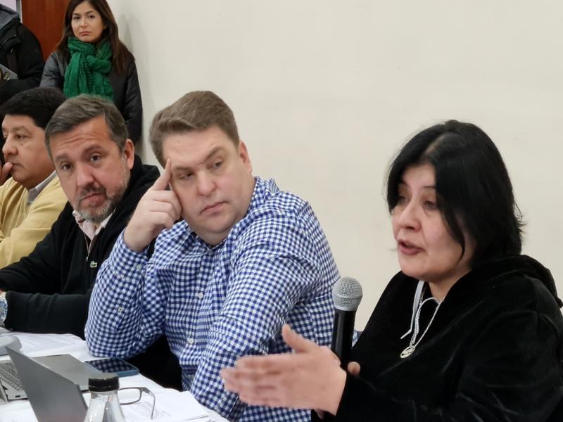 Muchos de los mandatos terminaron en enero de 2020, no se convocaron a elecciones, y lo primero que vienen a manifestar los referentes barriales es que quieren llevar adelante las elecciones, pero antes hay que regularizar la situacin, indic Laly Mo