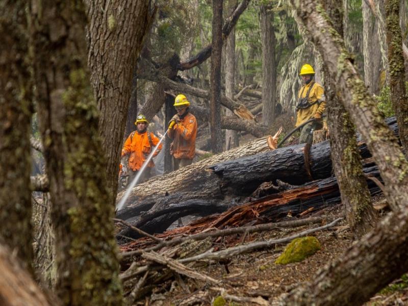 La tarea de los brigadistas se desarrolla en condiciones extremas, ya que el viento reinante en la zona afectada dificulta el combate directo e imposibilita por el momento las operaciones areas.