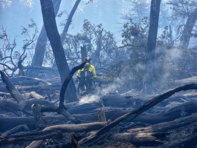 El fuego est muy errtico, hay focos secundarios, en las ltimas corridas ha tenido un avance muy importante. Es un comportamiento muy extremo, consider la Coordinadora Regional Patagnica del SNMF, Carolina Jurez.