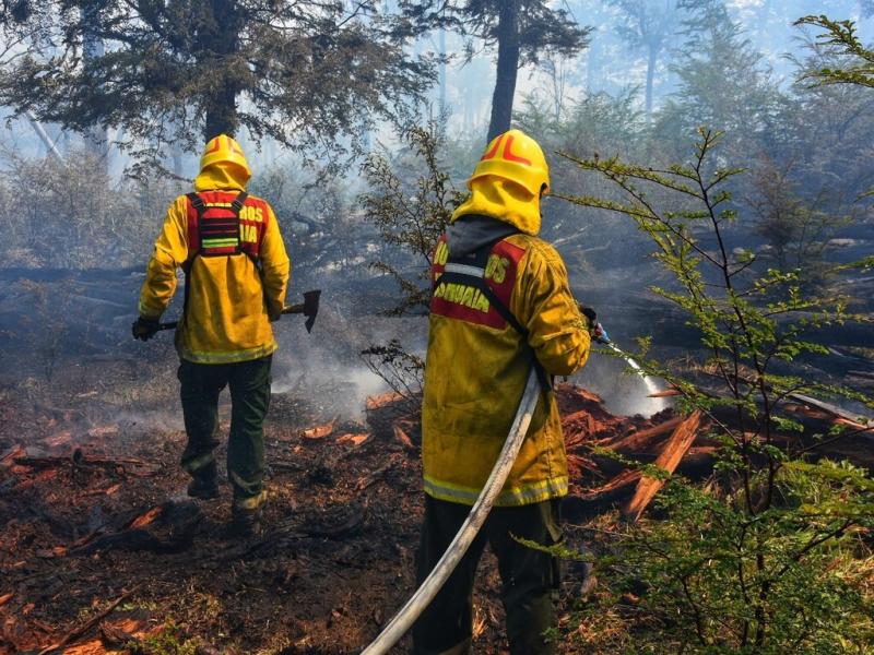 Se ha dispuesto dos unidades de Bomberos Voluntarios en la zona de La Rinconada en forma preventiva resguardando las estructuras, y el resto de las unidades forestales estn desplazadas en la zona de fuego.