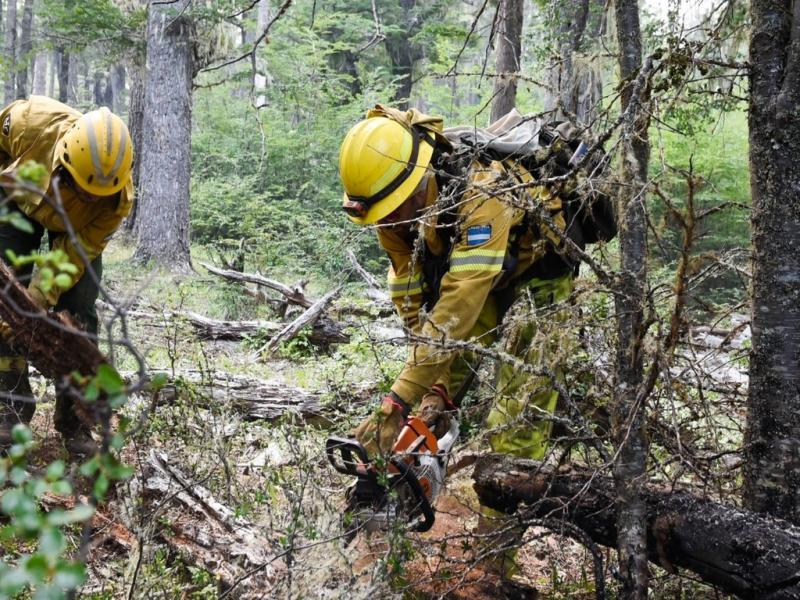 En Tierra del Fuego operan dos helicpteros con helibalde y un avin hidrante perteneciente al SNMF y se otorga apoyo tcnico con pronstico meteorolgico para la planificacin de los trabajos.