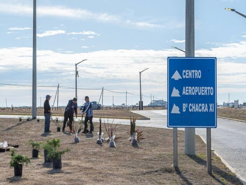 Plantar rboles, arbustos y flores de manera estratgica en la ciudad no solo brinda una visual ms bella, sino que tambin aportan bienestar ambiental para quienes viven all.