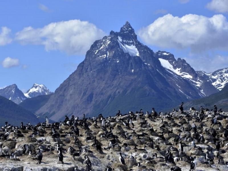 Ushuaia es una va de acceso a los cruceros hacia la Antrtida y a los recorridos cerca de la Isla Ycapasela, conocida como la 