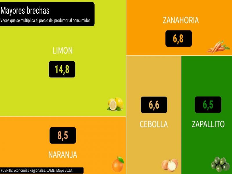 El limn (14,8 veces), la naranja (8,5), la zanahoria (6,8), la cebolla (6,6) y el zapallito (6,5) fueron los cinco productos que presentaron mayor diferencia entre los precios de origen y destino.