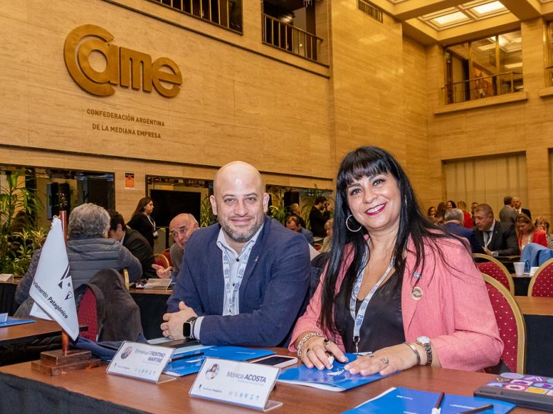 En Tierra del Fuego, la Comisin de Parlamento Patagnico, MERCOSUR, Integracin Regional y Asuntos Internacionales N 8, es presidida por el Legislador Emmanuel Trentino, y como Vicepresidenta oficia la Legisladora Mnica Acosta.