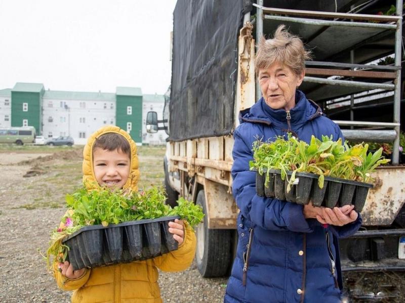 La entrega comenzar desde las 9 de la maana y hasta agotar la disponibilidad del da. Ser una bandeja de plantines por persona a cambio 1 litro de leche larga vida.