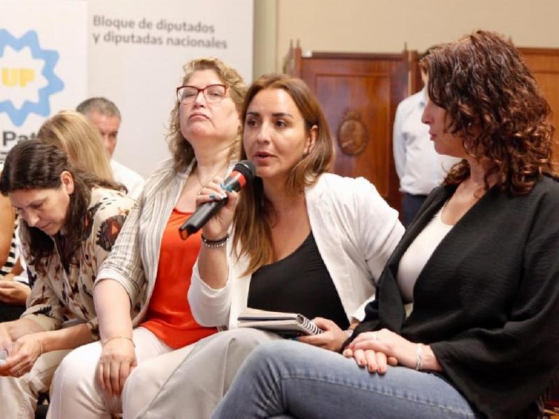 Desde el bloque reafirmamos el compromiso de trabajar para la unificacin de los proyectos referidos al FONID, indic Andrea Freites y remarc, el Gobierno pretende retrotraer al sistema educativo a la dcada del 90.