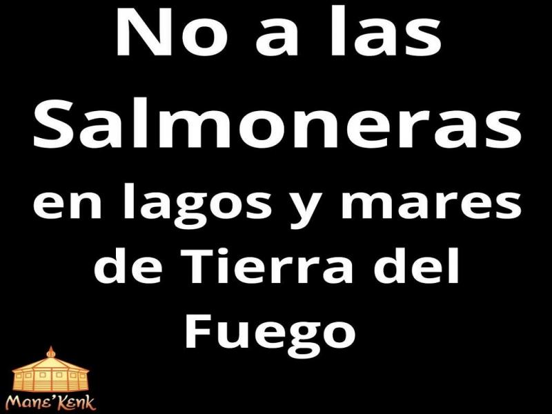 Tierra del Fuego cuenta con la Ley Provincial N 1.355 que prohbe el Cultivo y Produccin de Salmnidos. Los Legisladores provinciales Natalia Graciana y Agustn Coto (Republicanos-LLA), pretenden derogar esa Ley proteccionista.