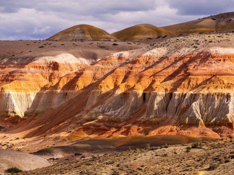 En algunos troncos cortados transversalmente se ven con claridad los anillos de su crecimiento, mientras en otros la erosin horad ventanas de variado tamao o huecos longitudinales que los asemejan a rsticos tubos.